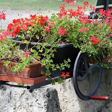 Farma Colline Pisane Chianni